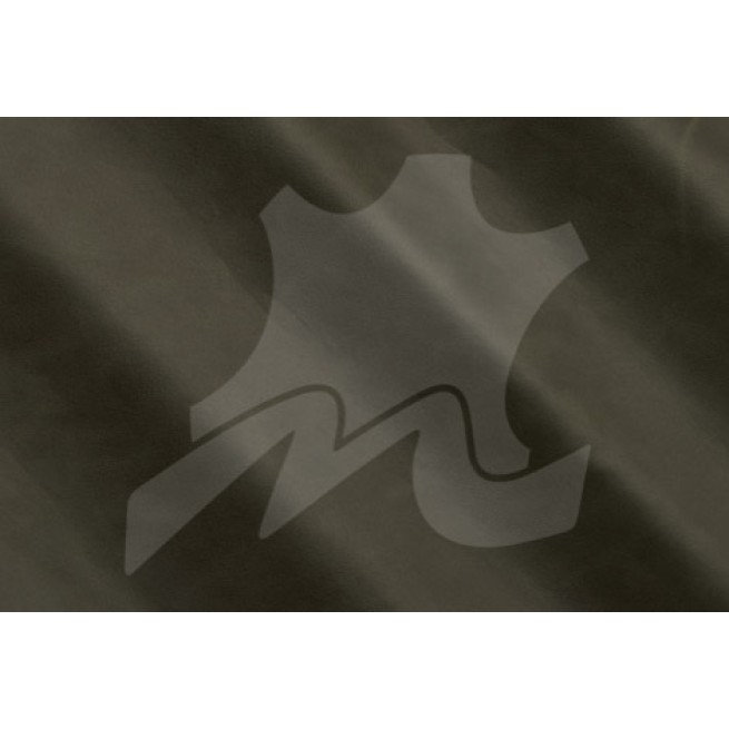 Aligo Group фото